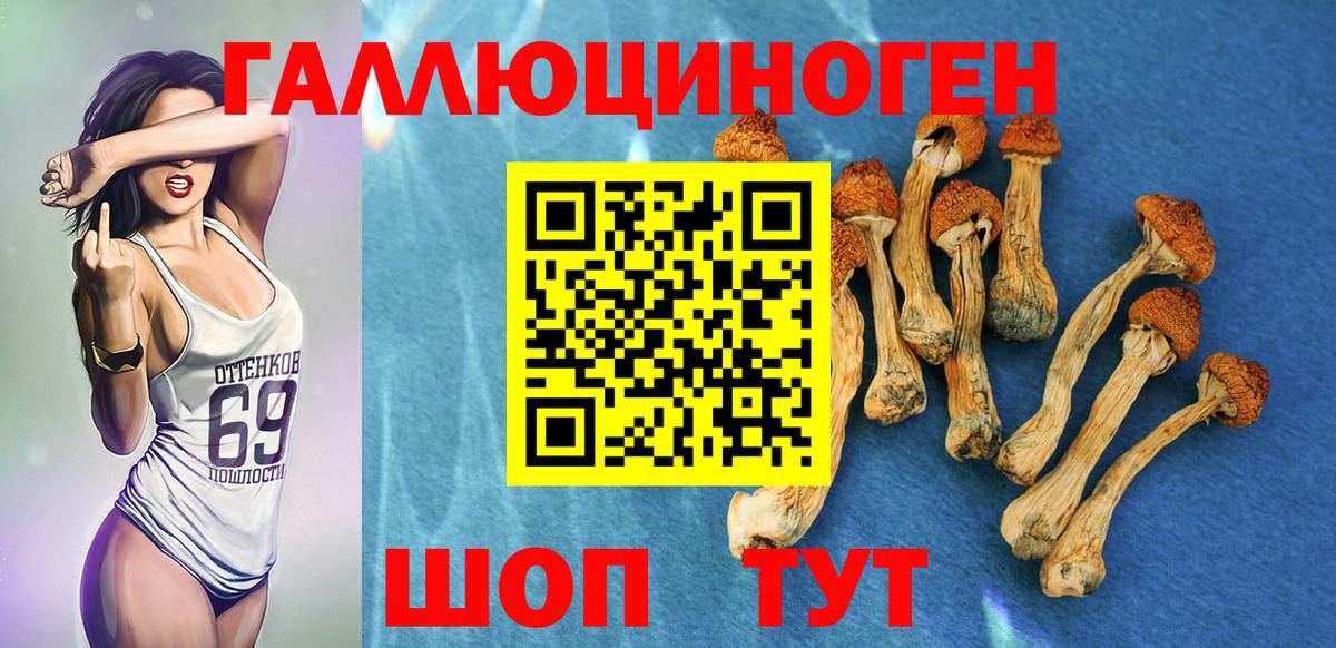 Галлюциногенные грибы прущие грибы Невинномысск